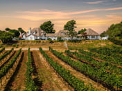 Chateau Blanc Vineyard Estate