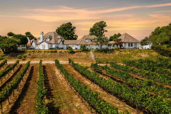 Chateau Blanc Vineyard Estate - Image 1