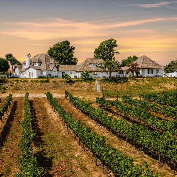 Chateau Blanc Vineyard Estate - Image 1